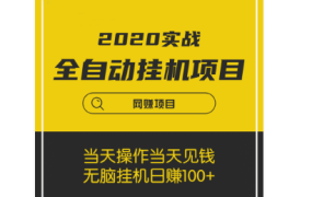 【实战VIP项目】2020最新实战:全自动化挂机项目,无脑挂机日赚100+