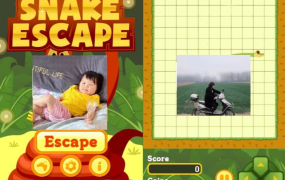 HTML5贪食蛇游戏源码没有数据库,没有后台,可以二开的HTML源码