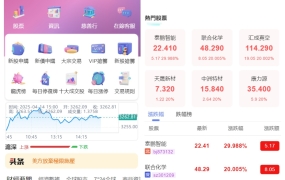 股票交易源码/大宗交易与新股申购系统源码/全套视频教程